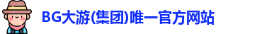 bg大游